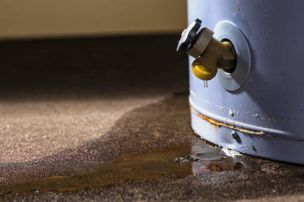 Best Water damage restoration near me  in Shelton, WA