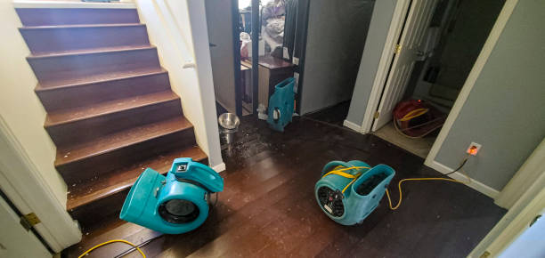 Water damage restoration mold remediation in Shelton, WA