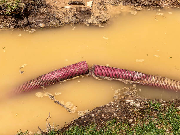 Carpet water damage restoration in Shelton, WA